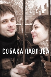 Собака Павлова