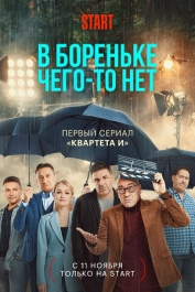 В Бореньке чего-то нет