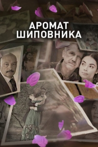 Аромат шиповника